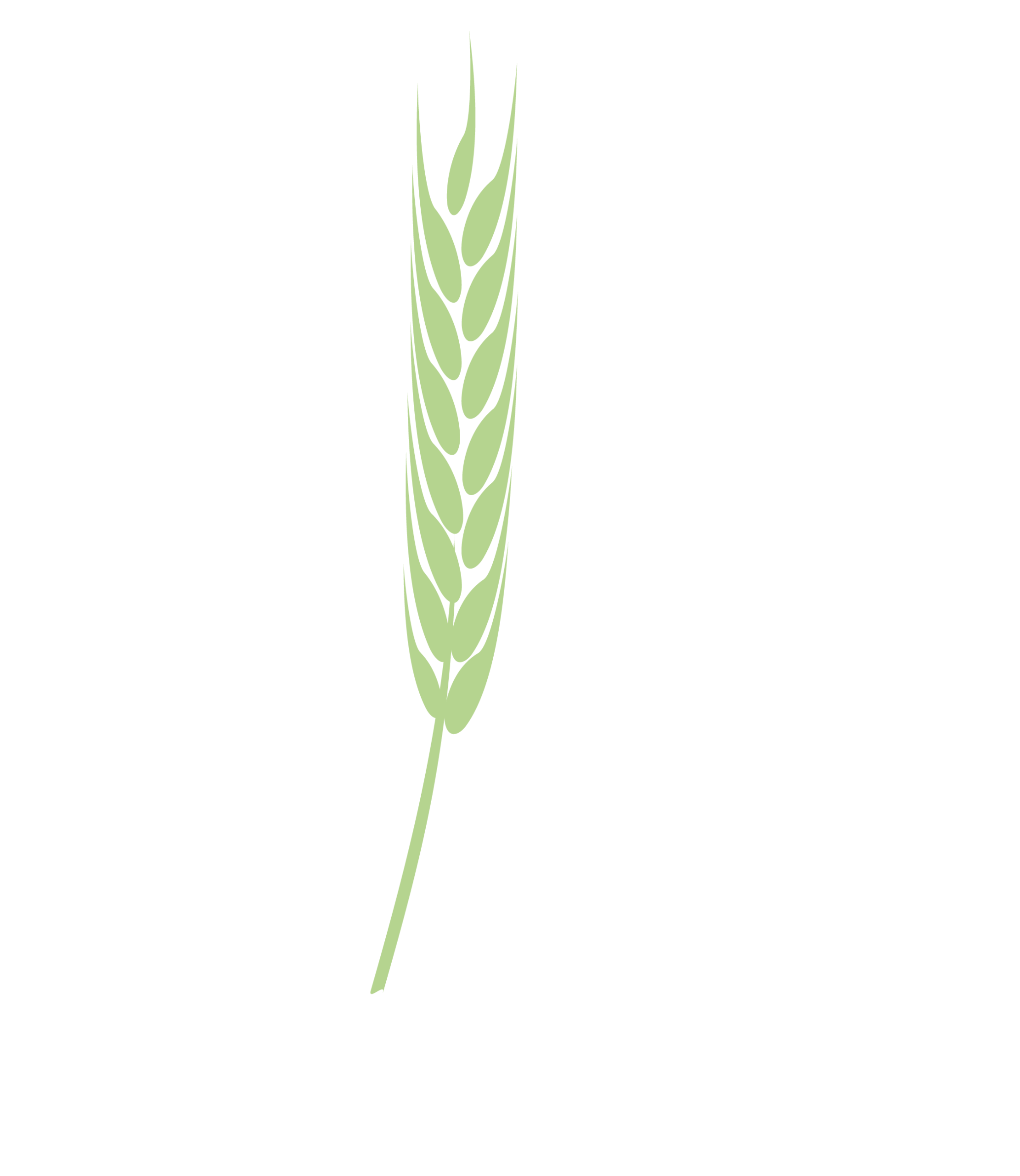 LHV-Logo